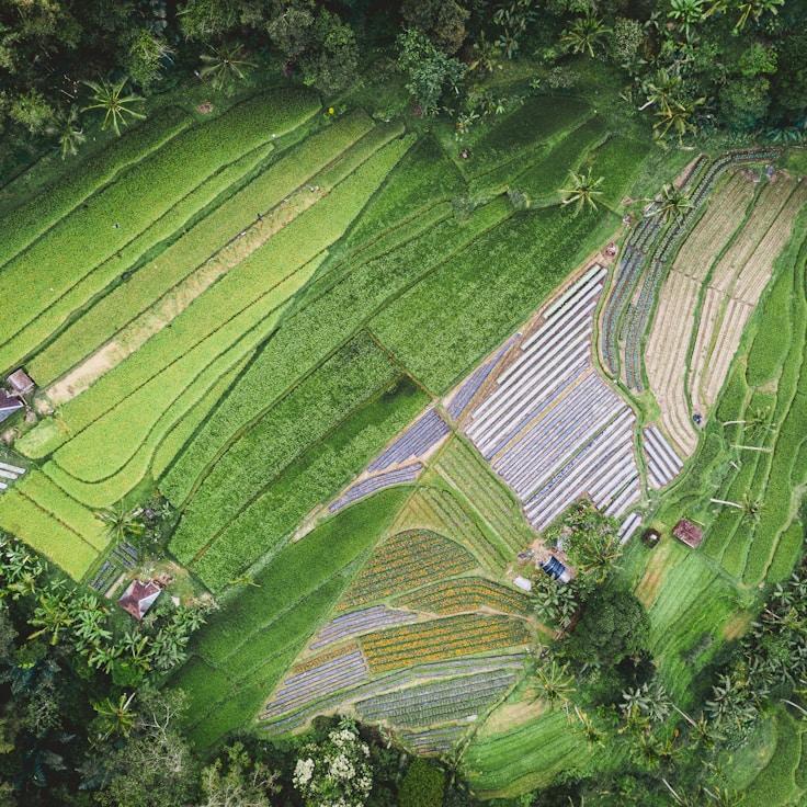 Entertainment zone at night in Germany