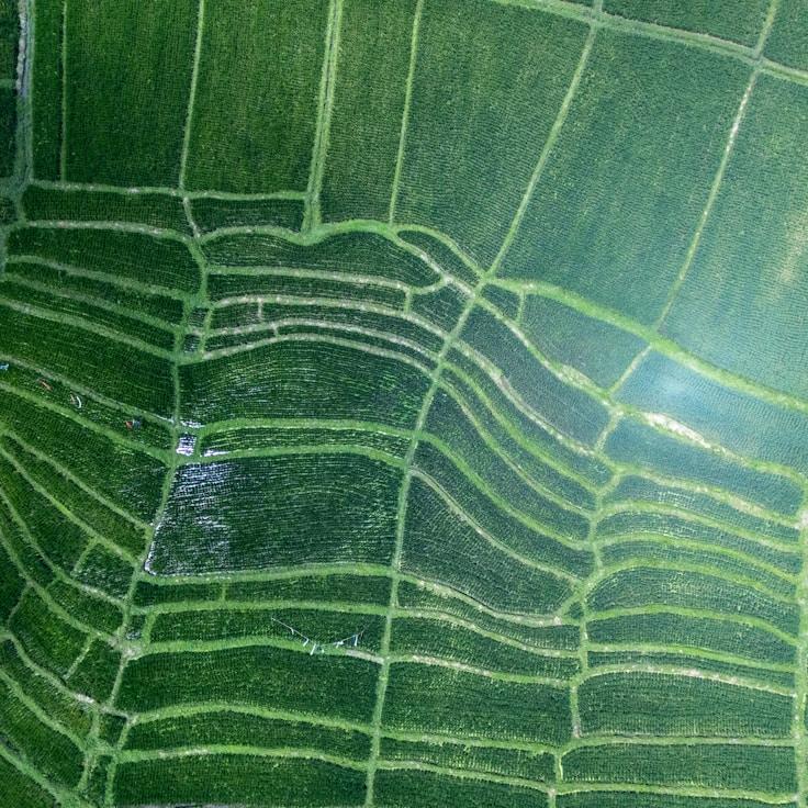 Outdoor terrace seating suitable for families in Berlin